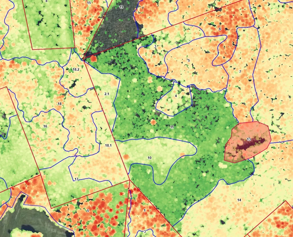 Metsäkuviot värikoodatun latvusmallin päällä