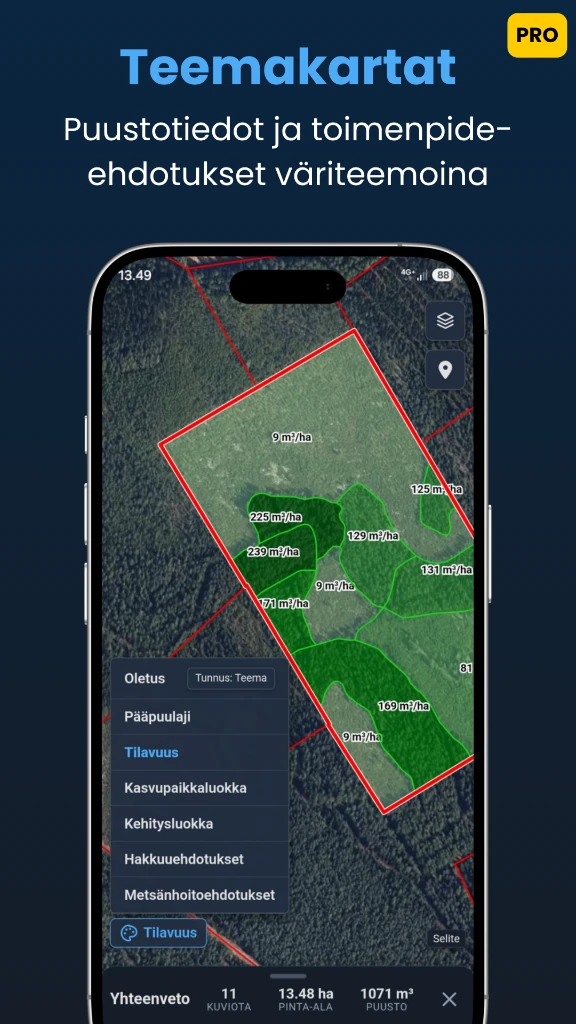 Teemakartat puuston ja hoitoehdotusten visualisointiin Mapis Prossa
